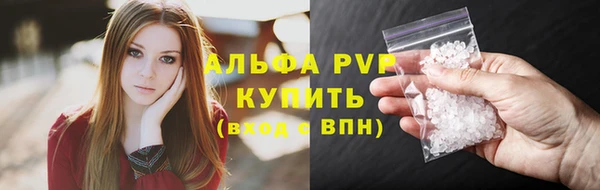 сатива Нефтекумск