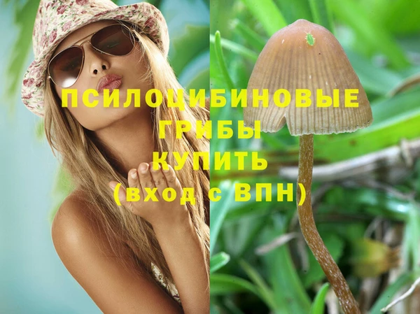 прущие крисы Алексеевка