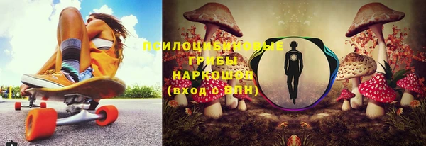 прущие крисы Алексеевка
