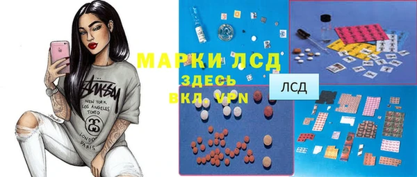 сатива Нефтекумск